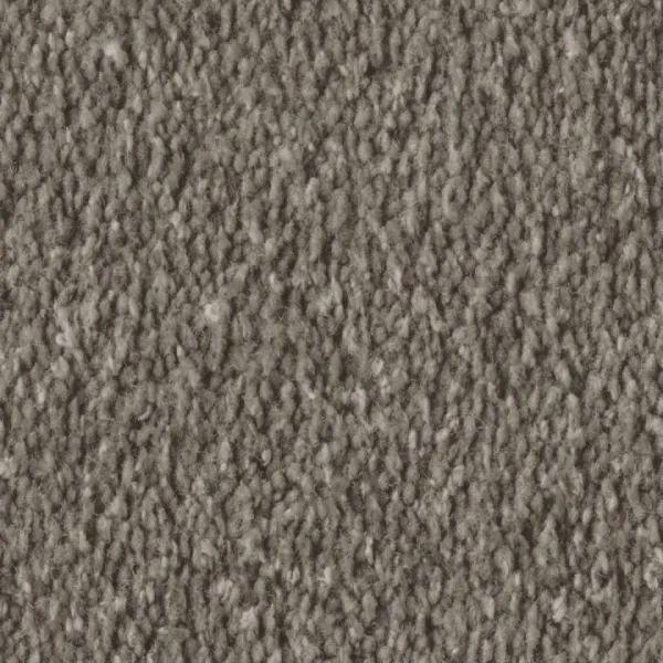 Vorwerk Alba 8L47 nutria – Draufsicht Velours Teppichboden 4 m breit